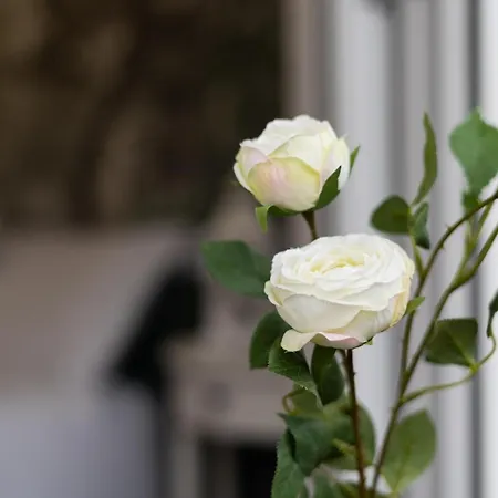 Appartement Sf Avenue Santander