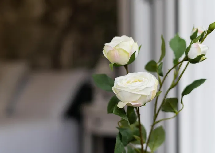 Lejlighed Sf Avenue Santander